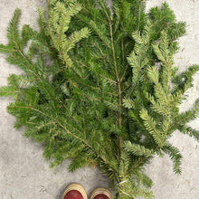 Load image into Gallery viewer, Winter Planter Workshop - November 20 @ 7pm