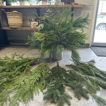 Load image into Gallery viewer, Winter Planter Workshop - November 20 @ 7pm