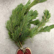 Load image into Gallery viewer, Winter Planter Workshop - November 26 @ 7pm
