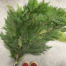 Load image into Gallery viewer, Winter Planter Workshop - November 26 @ 7pm
