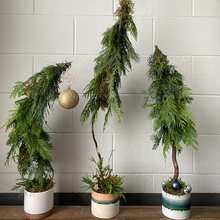 Load image into Gallery viewer, November 17 - Village Tree Workshop
